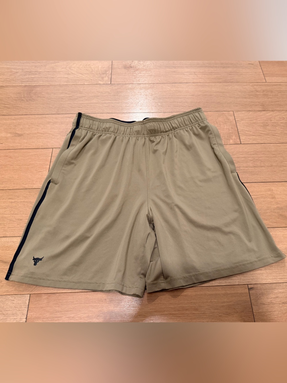 Under Armour Project Rock Mesh Shorts